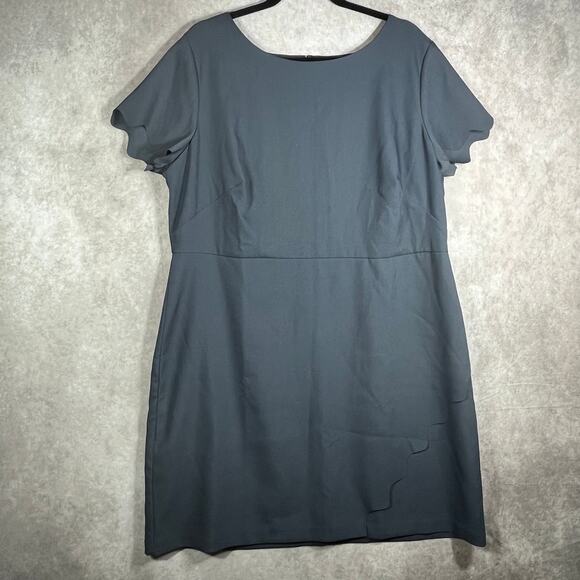 Loft‎ Dress Womens 16 Gray Knee Length Scalloped Trim Short Sleeves Career NEW - Picture 1 of 10